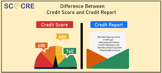 Credit Report vs Credit Score